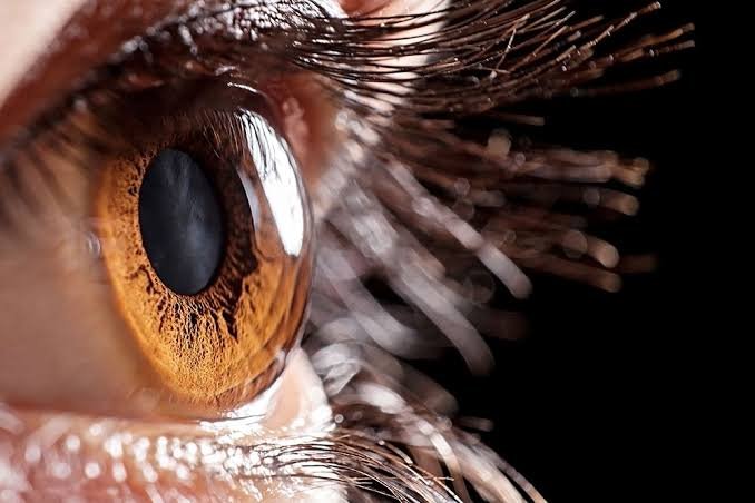 Retina Services Kurukshetra